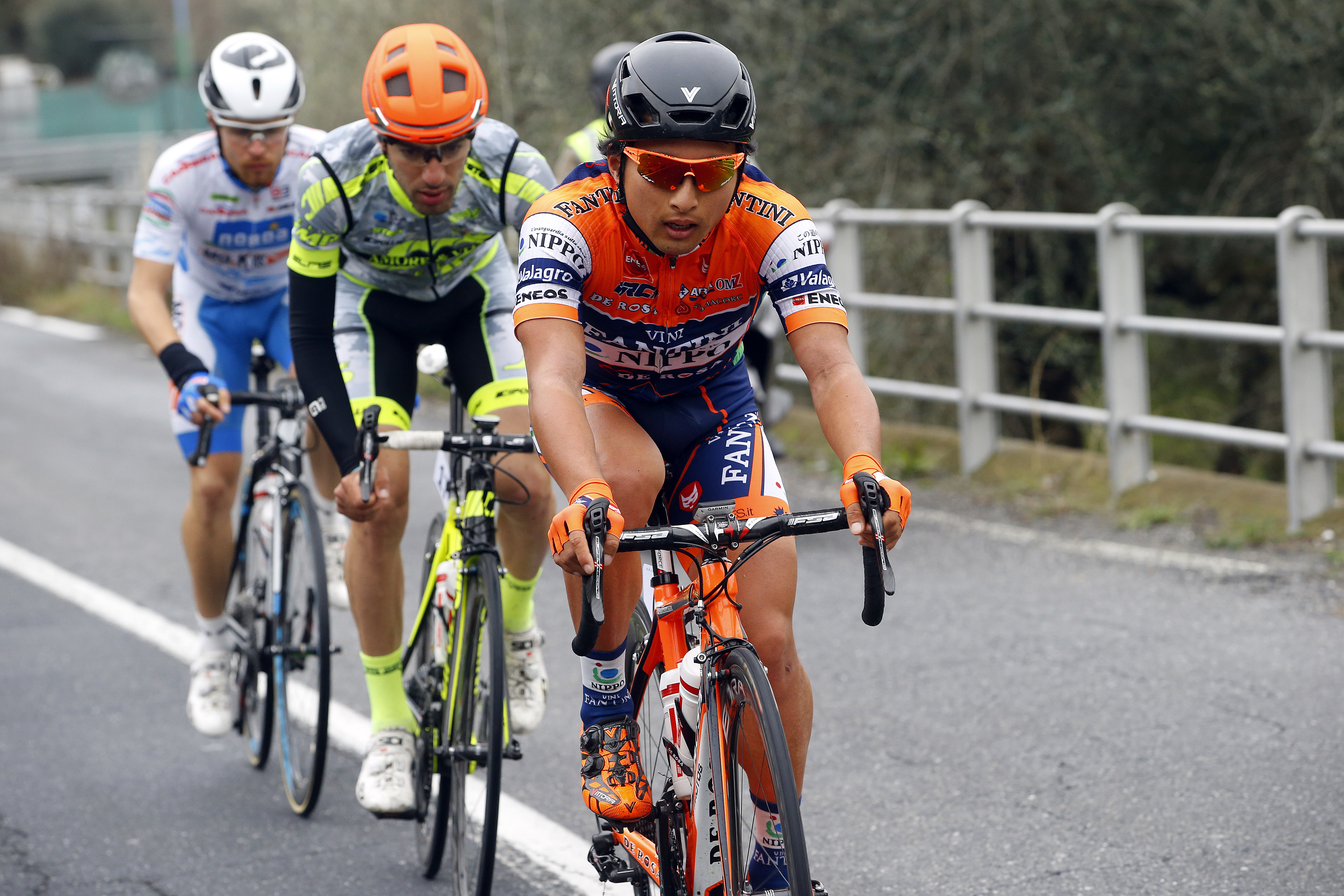 www.nippovinifantini.com/foto/2015/F1_1456057592.jpg